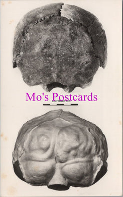 British Museum Postcard - Fossil Man, Swanscombe Skull   SW14582