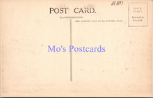 Load image into Gallery viewer, Warwickshire Postcard - Stratford-On-Avon. Knot Gardens  DC1697
