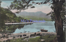 Load image into Gallery viewer, Ireland Postcard - At Innisfallen, Killarney  DC1672

