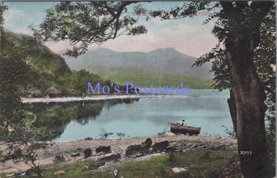 Ireland Postcard - At Innisfallen, Killarney  DC1672