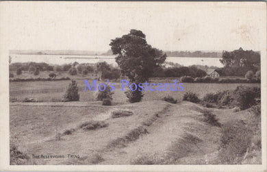 Hertfordshire Postcard - Tring, The Reservoirs   SW13814