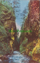 Load image into Gallery viewer, America Postcard - Oneonta Gorge, Columbia River Highway  SW13630
