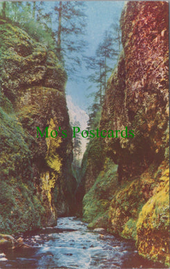 America Postcard - Oneonta Gorge, Columbia River Highway  SW13630