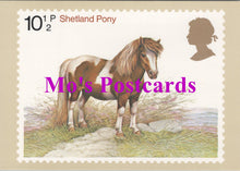 Load image into Gallery viewer, Animals Postcard - Shetland Pony Stamp Design   SW15008
