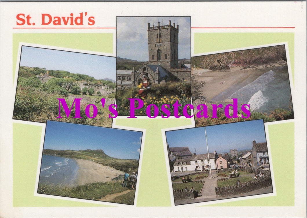 Wales Postcard - Views of St David's, Pembrokeshire SW15018