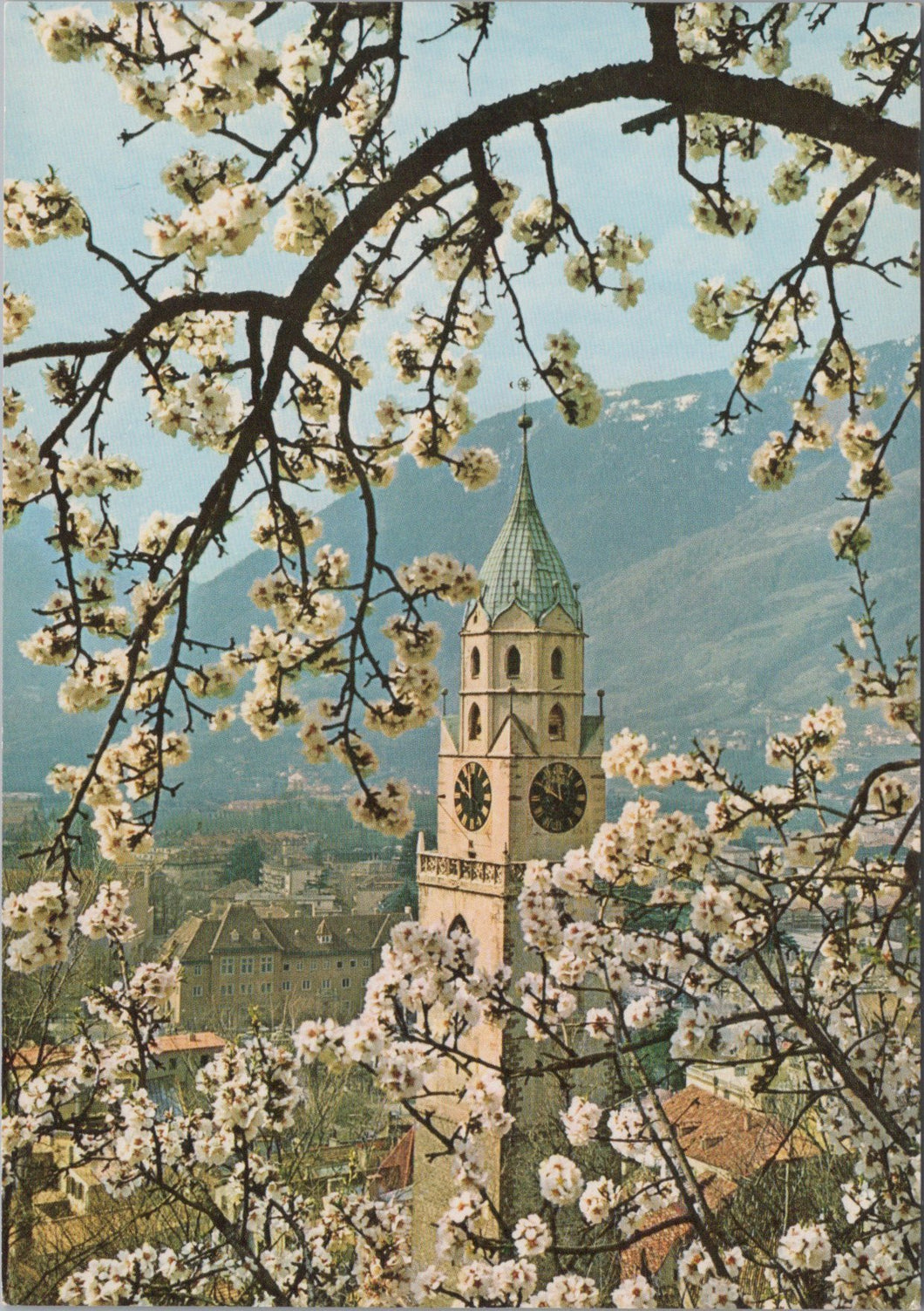 Italy Postcard - Merano in Primavera, South Tyrol  SW15787