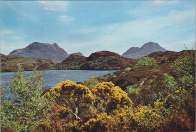 Scotland Postcard - Cul Mor and Cul Beg From Loch Sionascaig SW15895