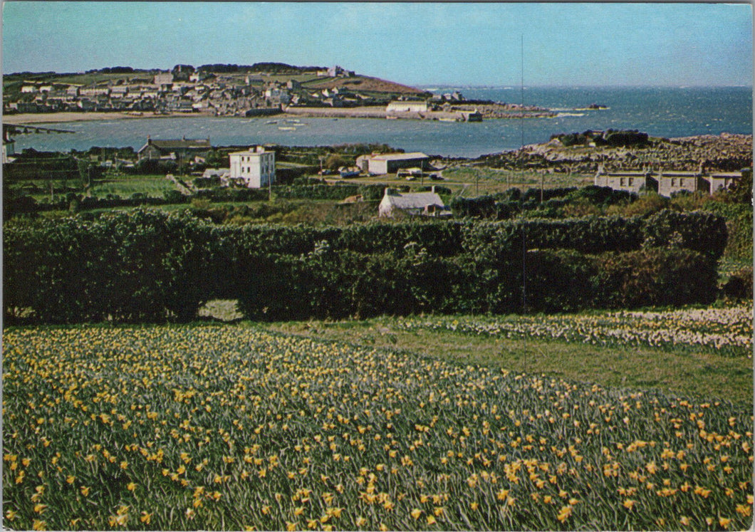 Cornwall Postcard - The Isle of Scilly, St Mary's Bay  SW15896