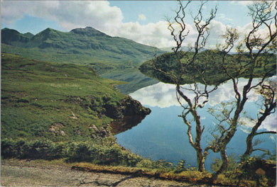 Scotland Postcard - Loch Assynt and Quinag, Lochinver, Sutherland  SW15897