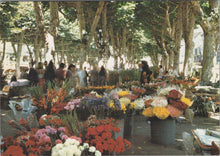 Load image into Gallery viewer, France Postcard - Flower Market, Beziers, Herault   SW15927
