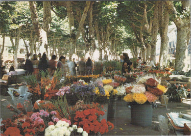 France Postcard - Flower Market, Beziers, Herault   SW15927