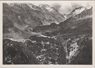 Switzerland Postcard - Malojastrasse Bei Maloja. St Moritz  SW15949