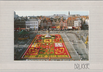 Belgium Postcard - Bruge Market Place, Carpet of Flowers   SW16492