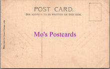 Load image into Gallery viewer, Surrey Postcard - Dorking. In Glory Woods   SW14164
