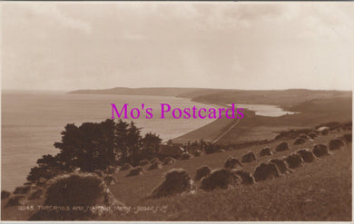 Devon Postcard - Torcross and Slapton Sands   SW14169