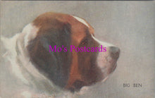 Load image into Gallery viewer, Animals Postcard - Saint Bernard Dog, Big Ben    SW14240
