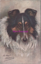 Load image into Gallery viewer, Animals Postcard - Pet Dogs - Artist Maud West Watson  SW14244
