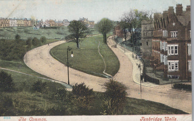 Vintage postcard of a park with winding path and buildings in Tunbridge Wells.