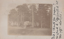 Load image into Gallery viewer, Vintage photograph of a cart in a forest with handwritten text on the right side.

