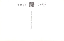 Load image into Gallery viewer, White postcard with &#39;POST CARD&#39; text and a logo on a white background
