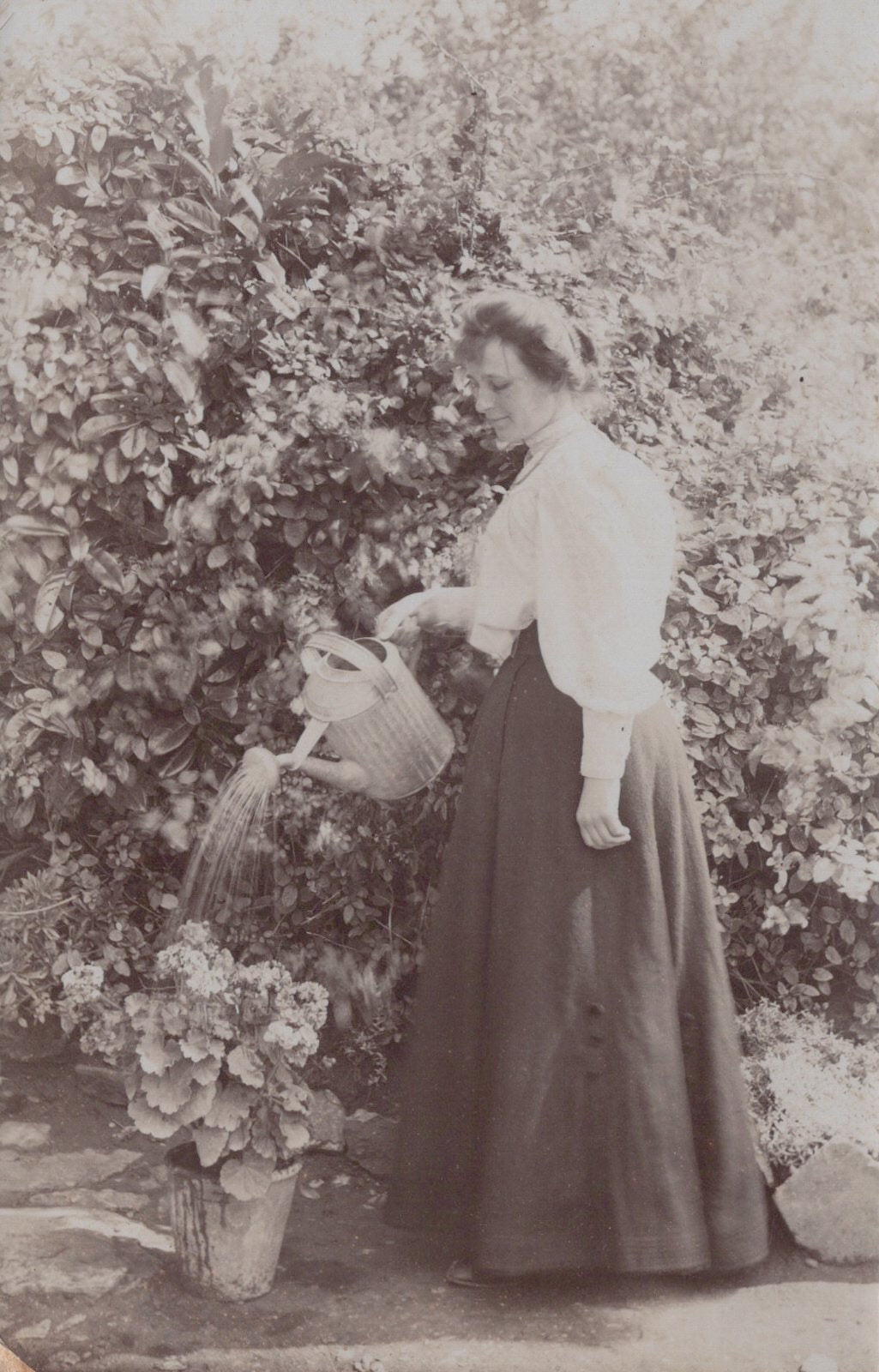 Woman in a garden watering plants with a watering can, surrounded by lush greenery.