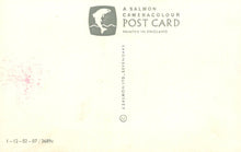 Load image into Gallery viewer, Salmon Cameracolour postcard with branding and text on a light background
