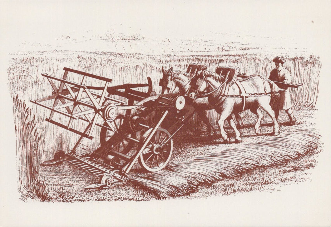 Agriculture Postcard - Victorian Farming, Bell's Improved Reaping Machine  VT577