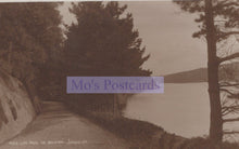 Load image into Gallery viewer, Sepia-toned postcard with a scenic road flanked by trees and a body of water.

