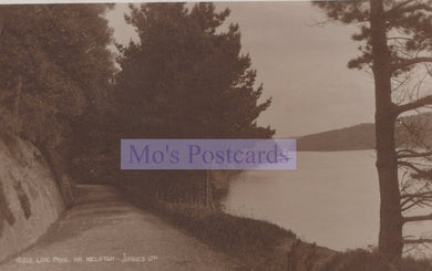 Sepia-toned postcard with a scenic road flanked by trees and a body of water.