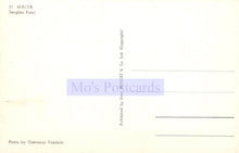 Load image into Gallery viewer, Back of a postcard with &#39;Mo&#39;s Postcards&#39; branding and text.
