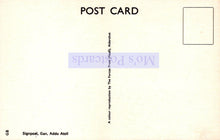 Load image into Gallery viewer, Back of a postcard with &#39;Mios Postcards&#39; branding and a blank square for a photo.
