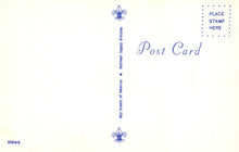 Load image into Gallery viewer, Blank postcard with Scout logo and text on a light background

