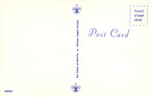 Load image into Gallery viewer, Postcard with Boy Scouts of America logo and text on a light blue background
