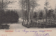 Load image into Gallery viewer, Vintage black and white photograph of a forest path with trees and a person walking.
