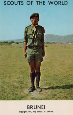 Scouting Postcard - Scouts of The World, Brunei  SW20813