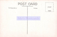 Load image into Gallery viewer, Vintage postcard with &#39;Mo&#39;s Postcards&#39; branding on a light pink background
