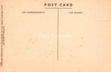 Load image into Gallery viewer, Animals Postcard - Zoological Park, Whipsnade, Bison Hill SW19158
