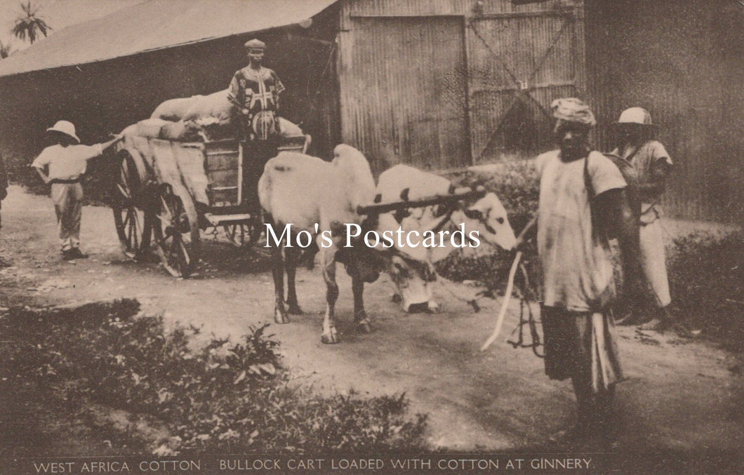 Occupations Postcard - West Africa Cotton Bullock Cart SW19183