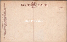 Load image into Gallery viewer, Surrey Postcard - From Richmond Hill  SW18314

