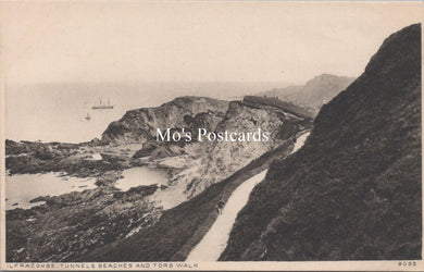 Devon Postcard - Ilfracombe Tunnels Beaches and Tors Walk  SW18320