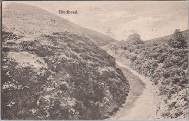 Surrey Postcard - Hindhead Heathland  SW16988