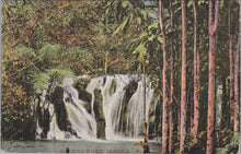 Load image into Gallery viewer, Jamaica Postcard - A Roaring River and Waterfall   SW17051
