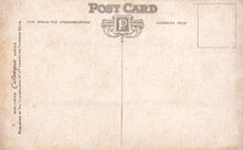 Load image into Gallery viewer, Vintage-style postcard back with typographic design and &#39;P&#39; logo.
