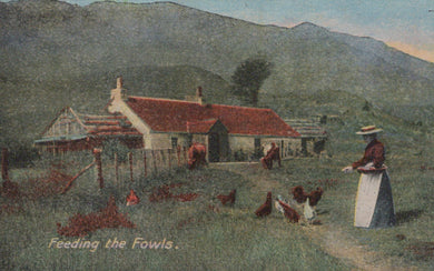 Woman feeding chickens in a farm setting with mountains in the background