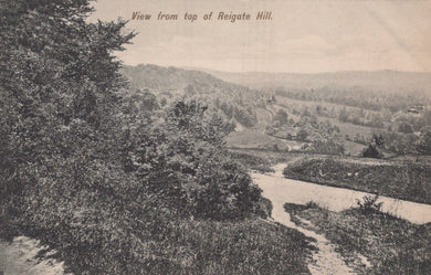 Vintage view from the top of Reigate Hill with trees and a path.