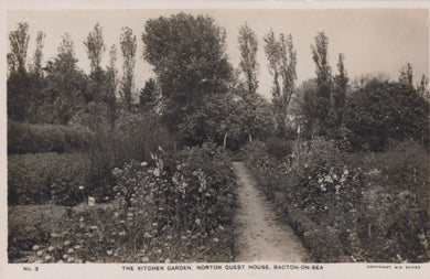 Vintage postcard of a garden path with trees and bushes