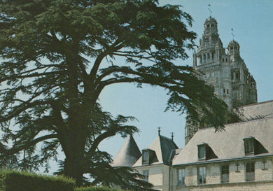 France Postcard - Tours, Cathedrale Saint-Gatien   SW19002