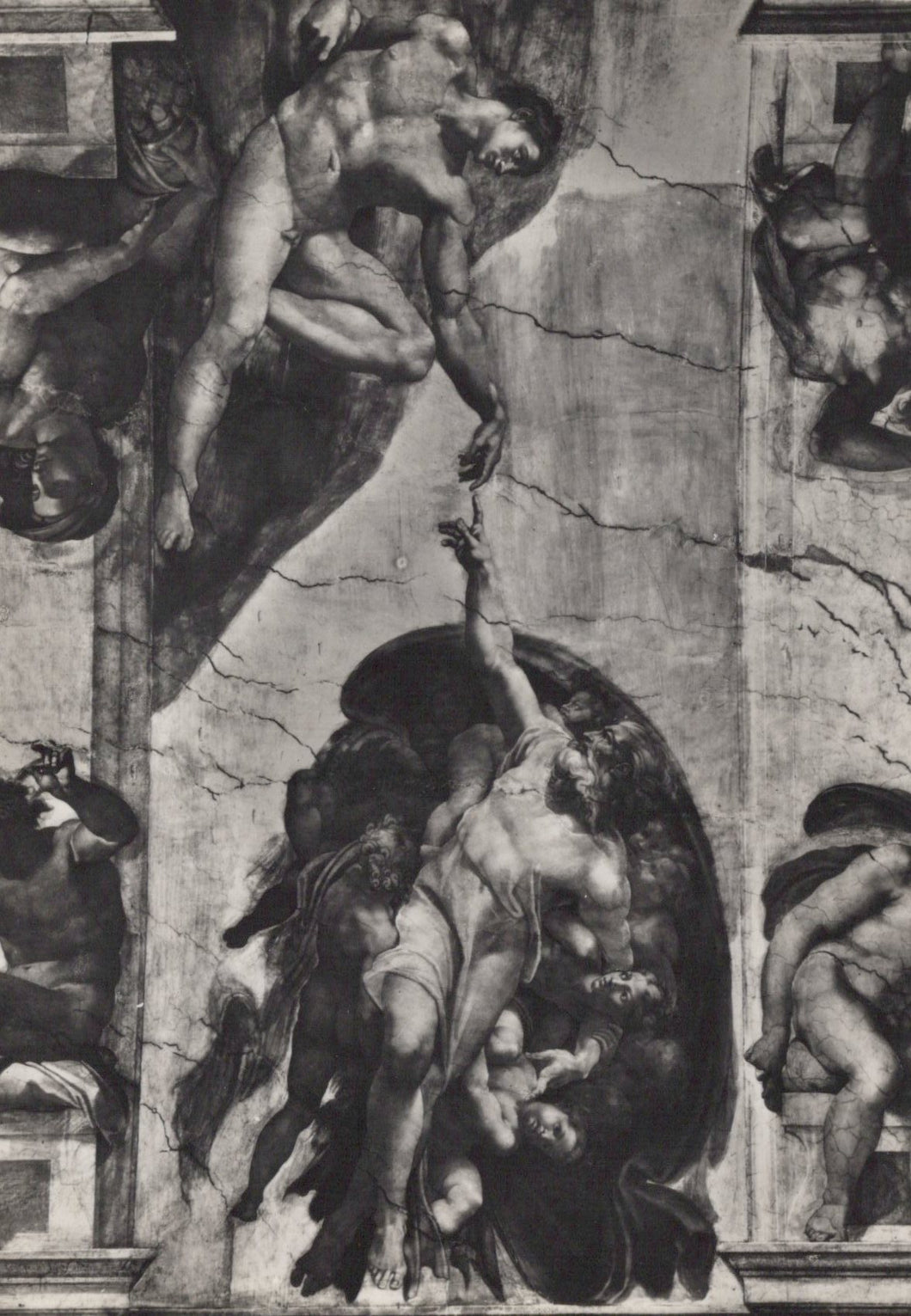 Vatican City Postcard - Sixtine Chapel, The Creation of The Man  SW19020