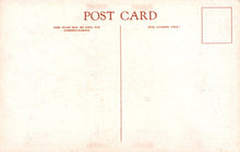 Load image into Gallery viewer, Vintage-style postcard with text and a rectangular area for writing on the right side.
