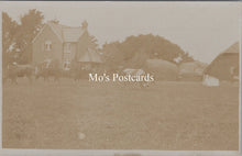 Load image into Gallery viewer, Devon Postcard - Cows in Lee Village    SX201
